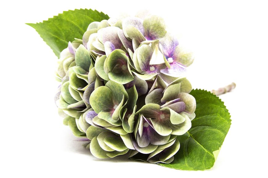 Искусственный цветок Гортензия, 42 см, зелено-фиолетовый (630577) 630577 фото
