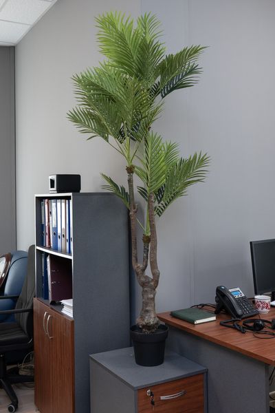 Искусственное дерево - Пальма 175 см, в горшке (360375) 360375 фото