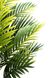 Штучне дерево - Пальма 175 см, в горщику (360375) 360375 фото 3