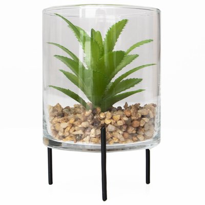 Штучна рослина - Сукулент в скляній вазі, 12 см, зелена (190706) 190706 фото