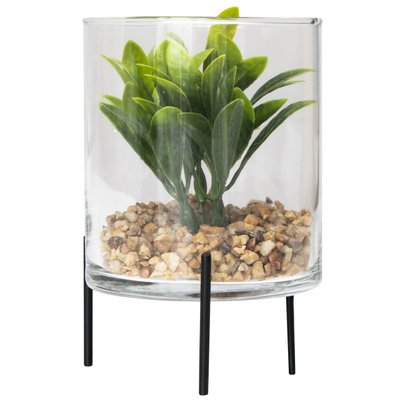 Искусственное растение - Суккулент в стеклянной вазе, 12 см, зеленый (190720) 190720 фото