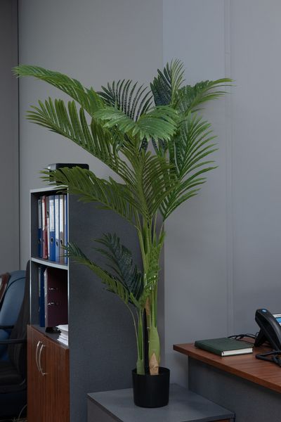 Штучне дерево - Пальма 150 см, в горщику (360498) 360498 фото
