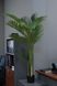 Штучне дерево - Пальма 150 см, в горщику (360498) 360498 фото 5