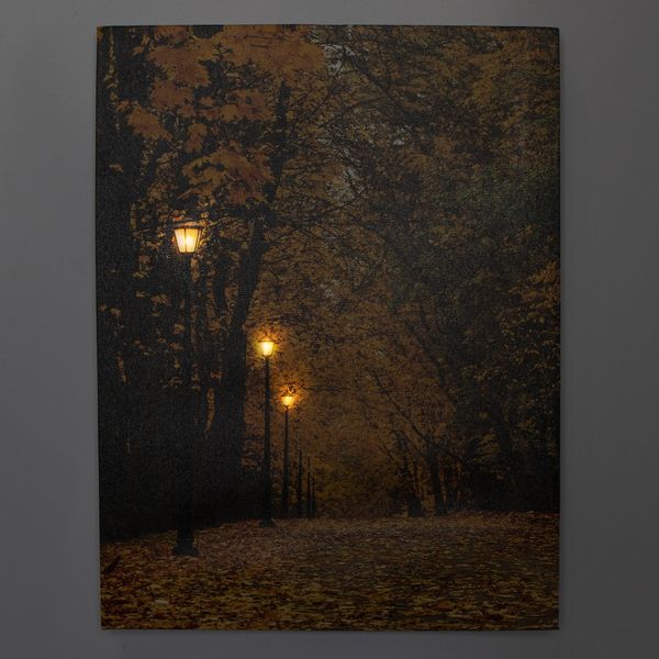 Картина, що світиться - осінній парк з опалим листям, 3 LЕD лампи, 40x30 см (940065) 940065 фото