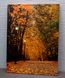 Картина, що світиться - осінній парк з опалим листям, 3 LЕD лампи, 40x30 см (940065) 940065 фото 3