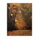 Картина, що світиться - осінній парк з опалим листям, 3 LЕD лампи, 40x30 см (940065) 940065 фото 1